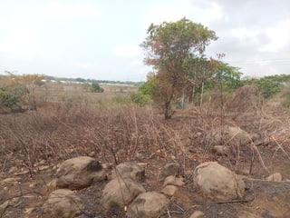 Terreno en Venta Chiquimulilla, Santa Rosa  - 3