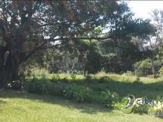 Venta de granja Residencial en Palín Escuintla - 5