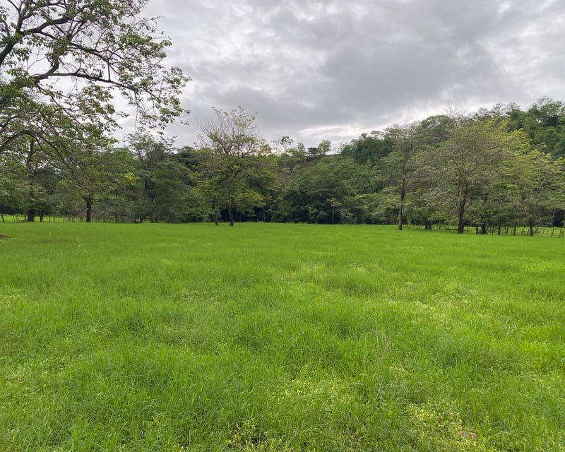FINCA EN SANTA ROSA