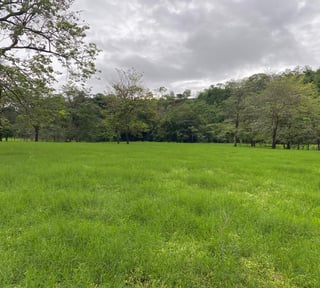 FINCA EN SANTA ROSA