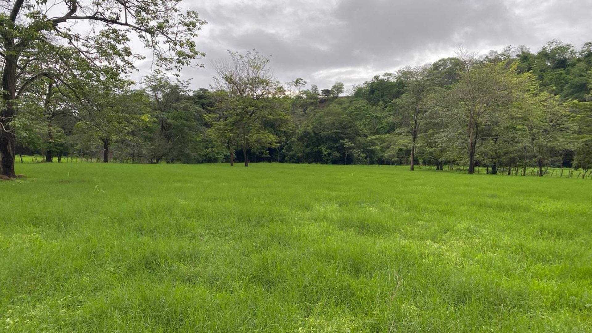 FINCA EN SANTA ROSA - Image 1