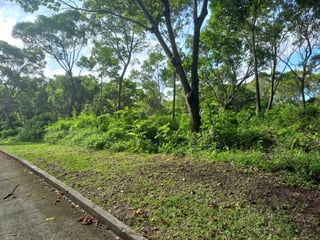 Terreno en Venta en  Casa y Campo, carr. a El Salvador - 2