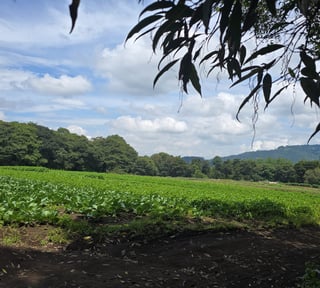 Terreno en Venta, Santa Lucia Milpas Altas 