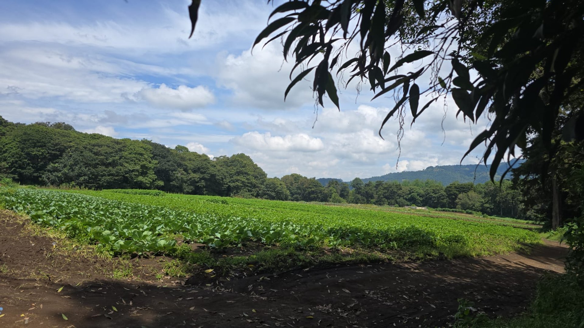 Terreno en Venta, Santa Lucia Milpas Altas 