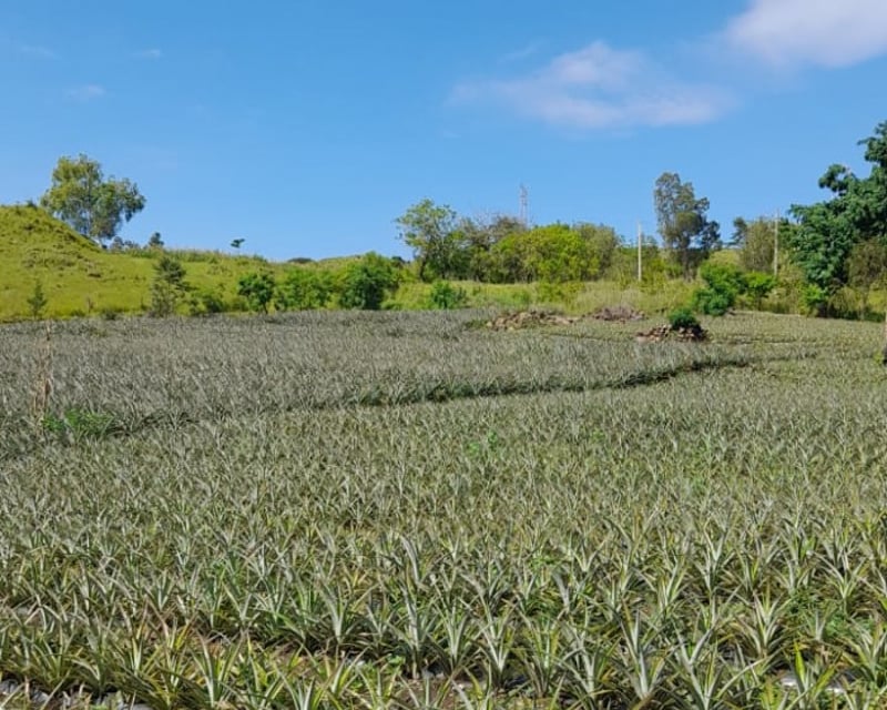 Vendo Terreno km 39.5 Carretera a El Salvador