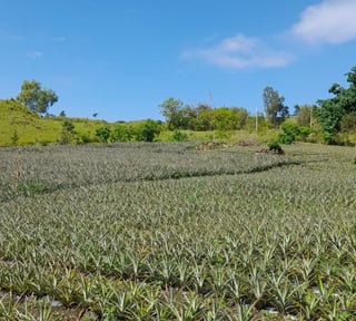 Vendo Terreno km 39.5 Carretera a El Salvador
