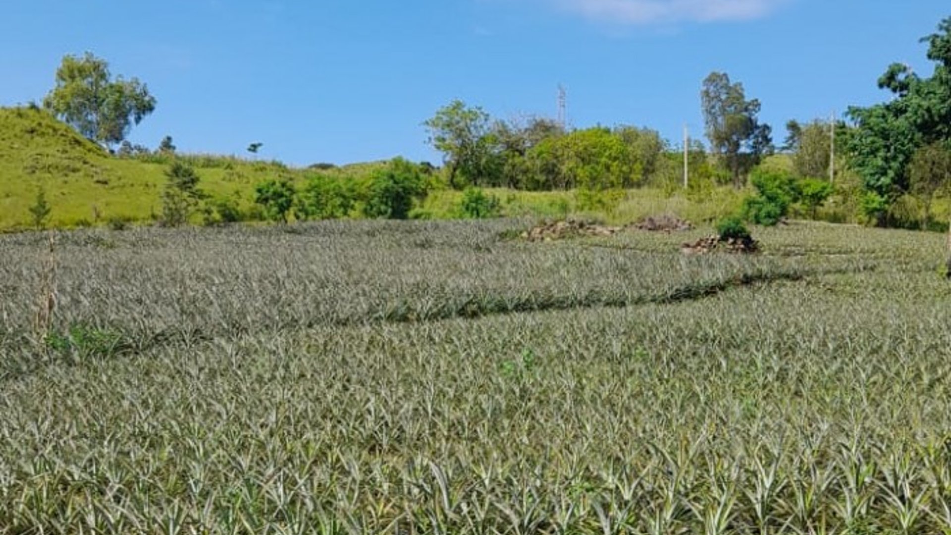 Vendo Terreno km 39.5 Carretera a El Salvador