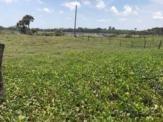 VENDO TERRENO VACACIONAL EN PLAYA RAMA BLANCA SIPACATE - Image 10
