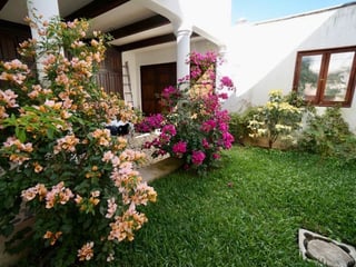 Alquiler Casa vacacional en Antigua Guatemala - 2