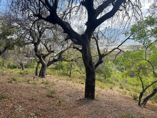 Terreno en Venta en Amatitlán - 2