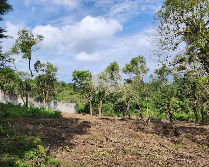 Terreno en Venta / KM. 16.5 Carretera a El Salvador / Santa Catarina Pinula
