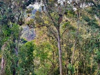 Terreno en Venta en Santa Catarina Pinula - CAES - 2