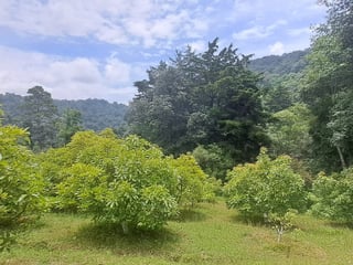 Terreno 1 manzana en venta en Santiago Sacatepequez - 3