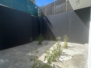 Alquiler de local Comercial en un lugar muy exclusivo zona 14 - 4
