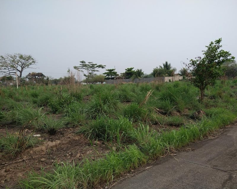 Lote en Venta Quintas Las Ponderosa, Escuintla