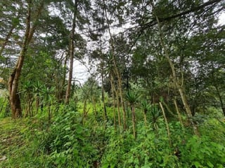 Terreno en Venta Colonia El Paraíso Sacatepéquez - 4