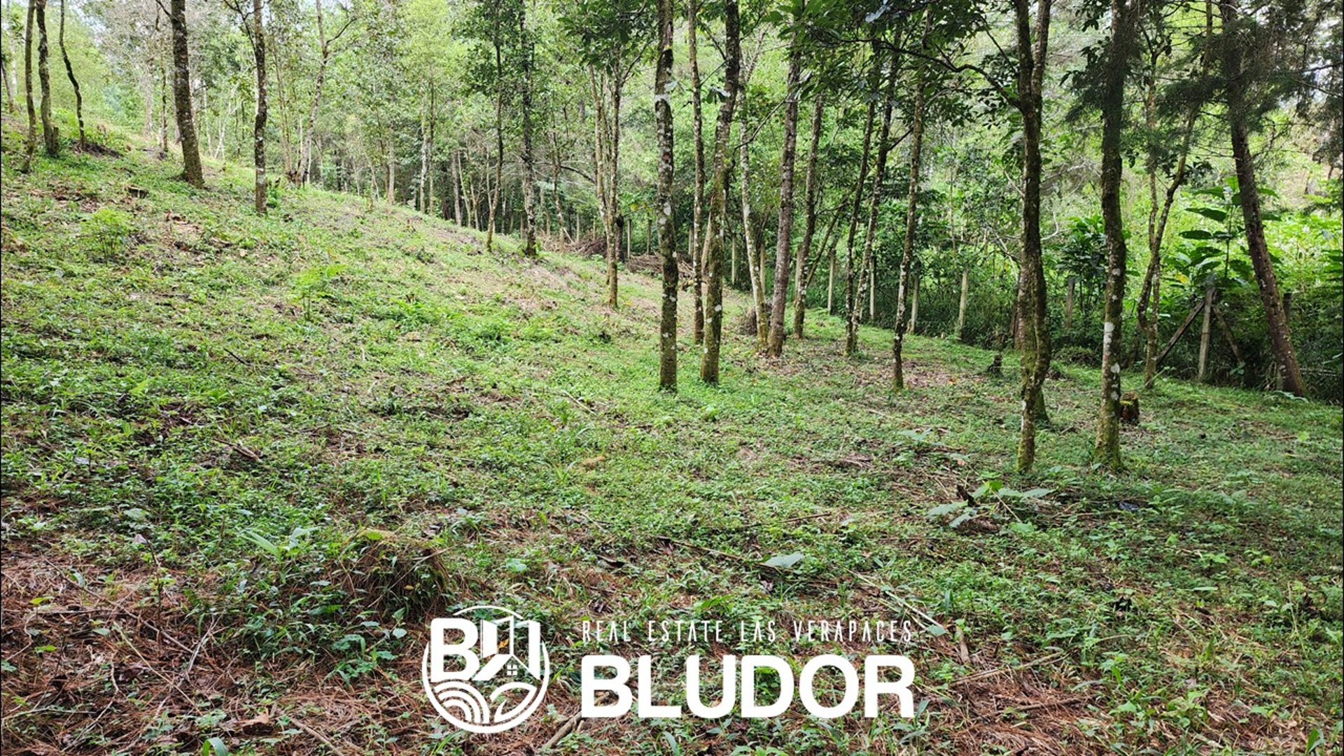 Terreno Campestre y Exclusivo en Chamelco - Miniatura 7