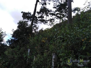 Venta de terreno comercial en zona 16! - 2