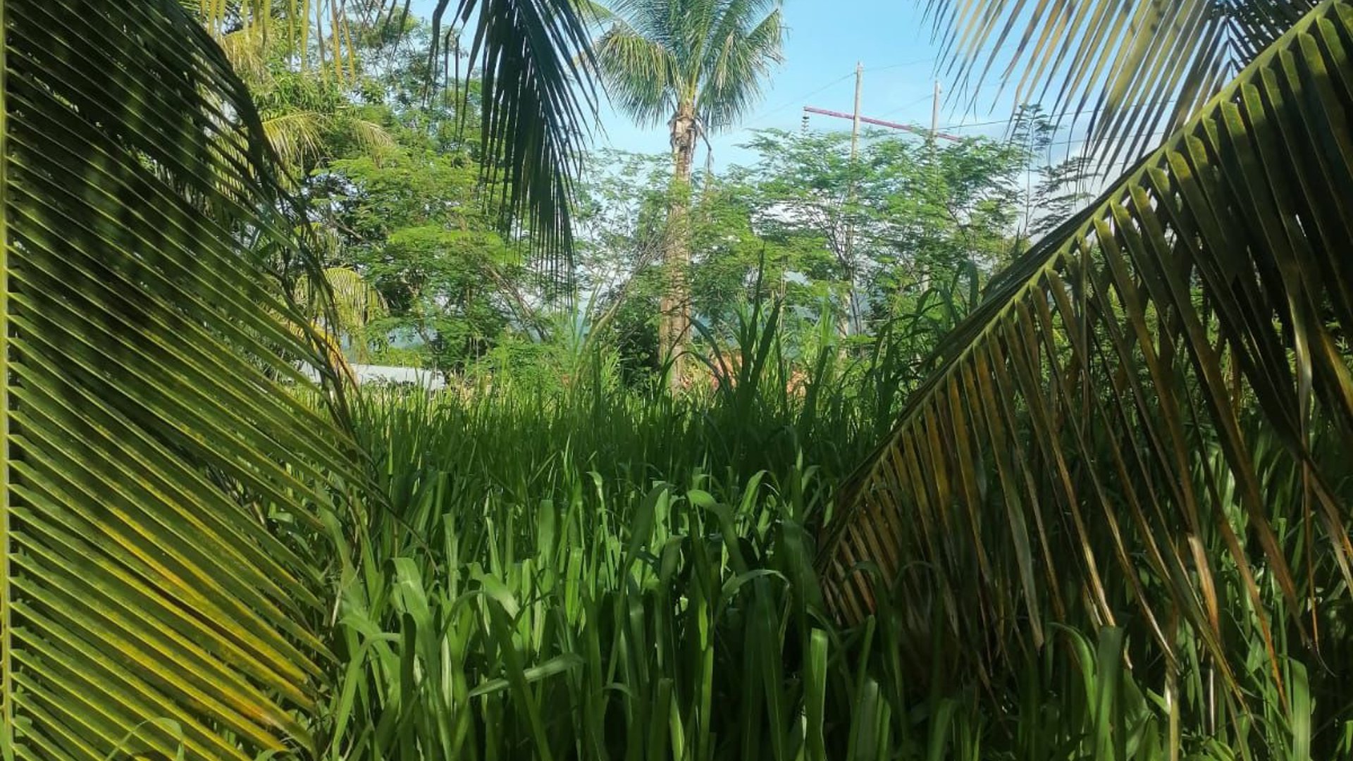Terreno en venta en Aldea Juan Ponce Zacapa - Miniatura 14