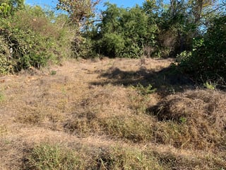 Terreno en venta, Monterrico Santa Rosa - 5