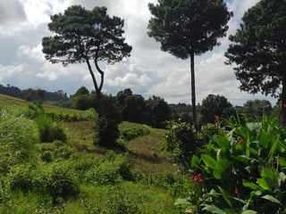 Terreno en Venta en Zaragoza, Chimaltenango - 4