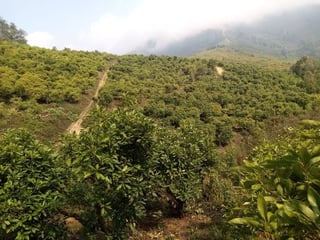 Terreno en venta en Pastores, Sacatepequez - 2