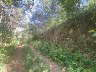 Terreno en Venta 1 manzana en El Encinal, Zona 7 ref-6135 - 2