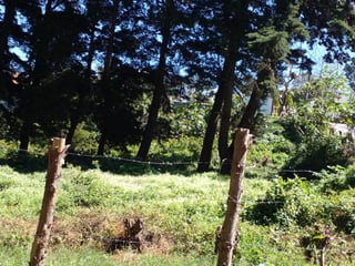 Terreno en venta, en Fraijanes - 2