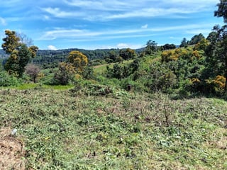 TERRENO EN VENTA – GRANJAS VILLA ALICIA, KM 32.9 SANTIAGO SACATEPÉQUEZ - 4