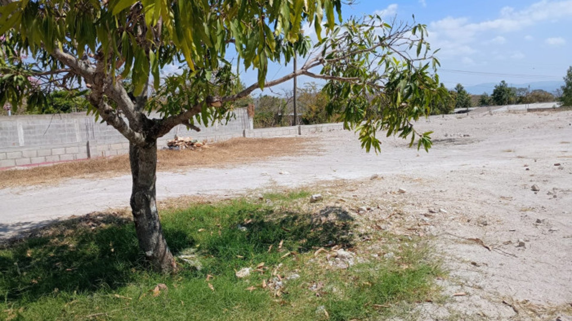 Terreno en Venta y Renta, Monjas Jalapa - Miniatura 4