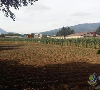 TERRENO de 75 cuerdas en VENTA en Quetzaltenango
