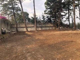 Alquiler de terreno al lado de edificio scena, CES - 5