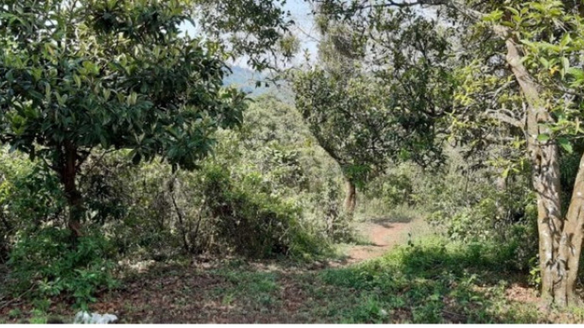 Finca en Venta en Fraijanes Guatemala - Miniatura 4