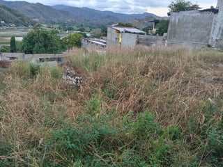 TERRENO EN VENTA EN BARRIO EL CENTRO GUALAN ZACAPA - 4