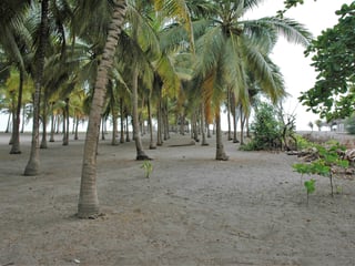 Land for Sale in Tulate, Guatemala - 7185 m² - $199,000 - Image 5