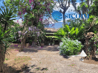 Finca for Sale in Antigua Guatemala - Image 3