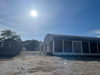 Bodega en Carretera a Esquipulas Estanzuela Zacapa - 4