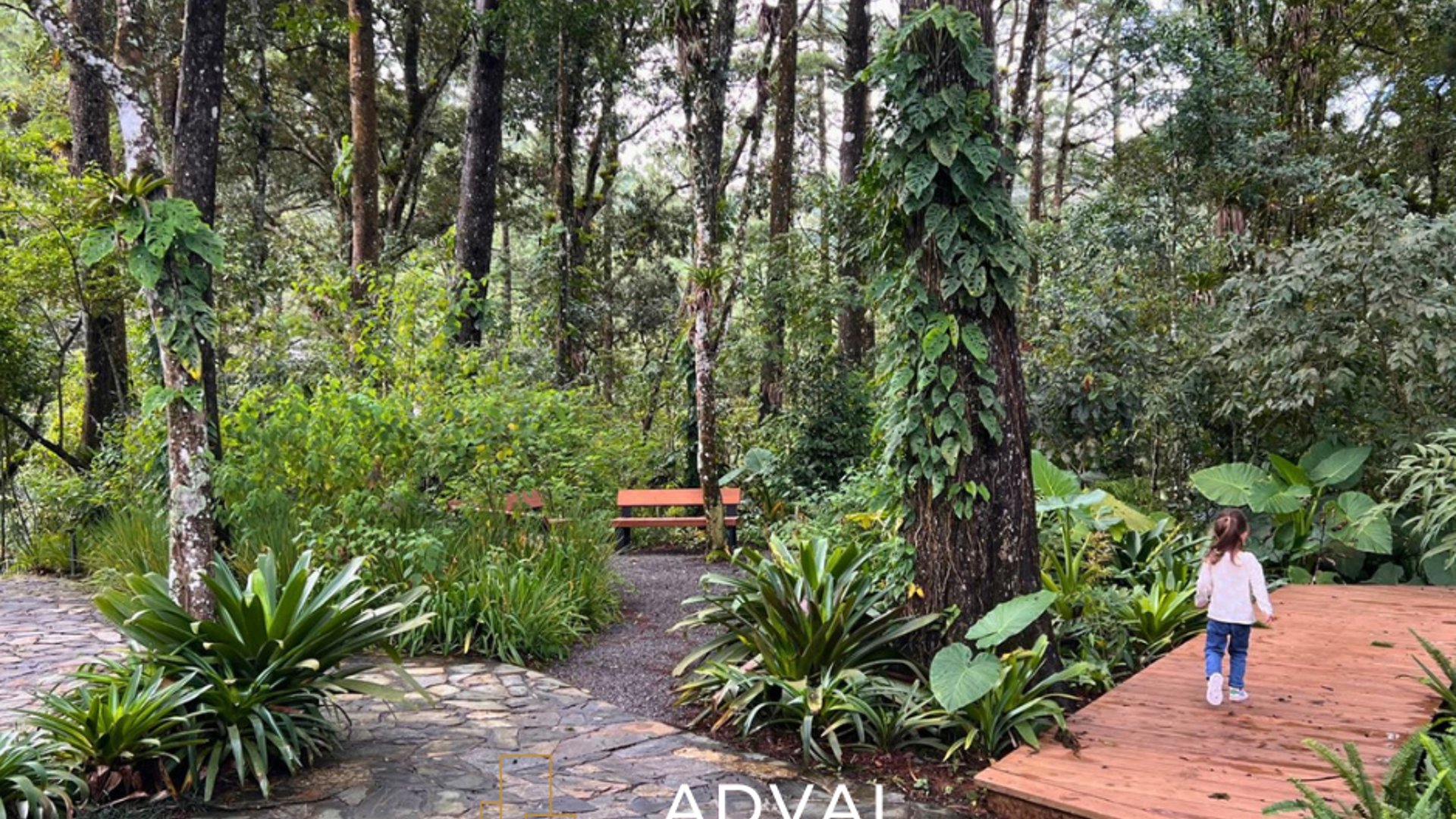 Terreno en venta Legado del Bosque Azara - Miniatura 6