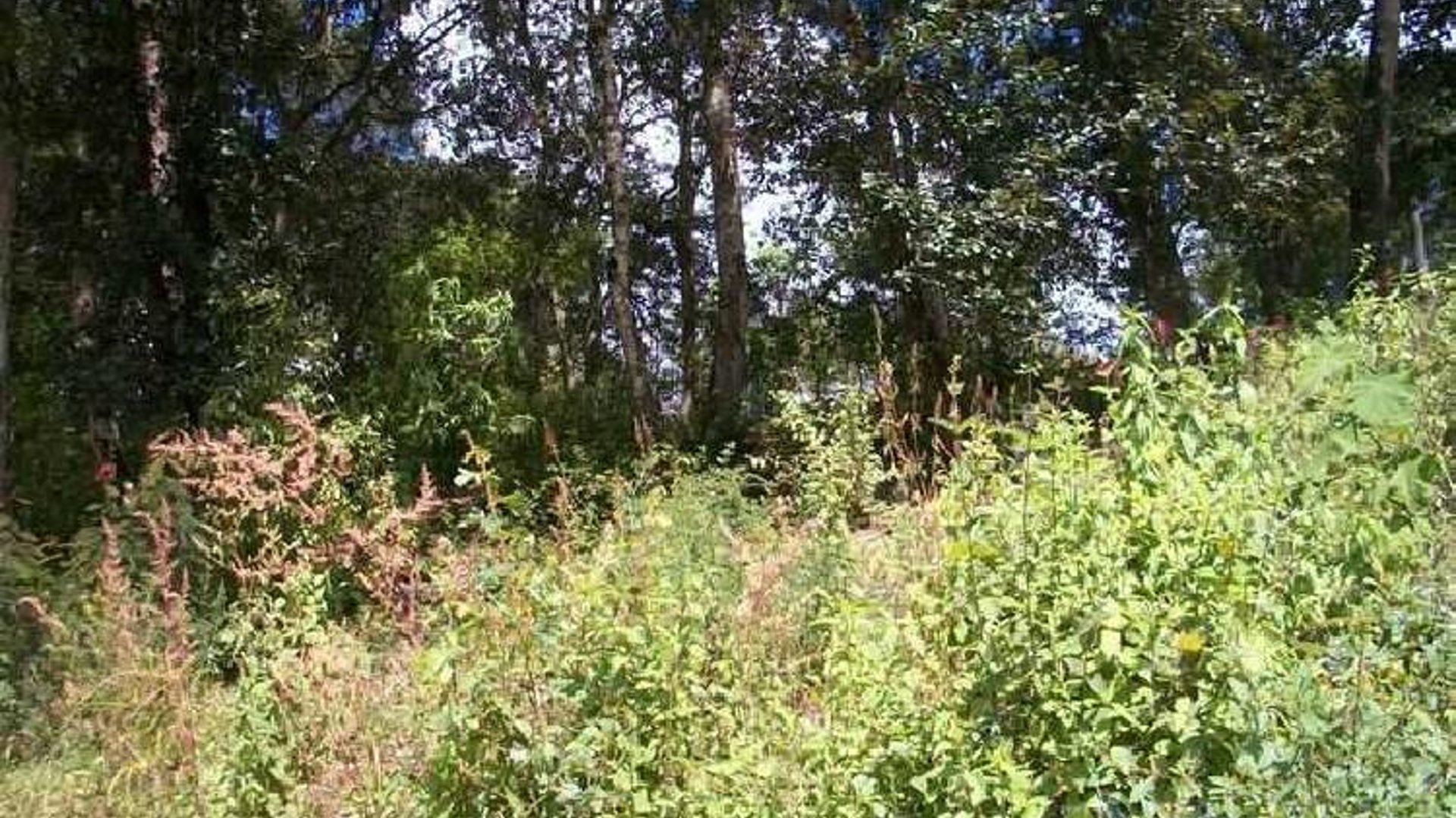 Terreno en venta en Aldea Chichorin San Lucas - Miniatura 5