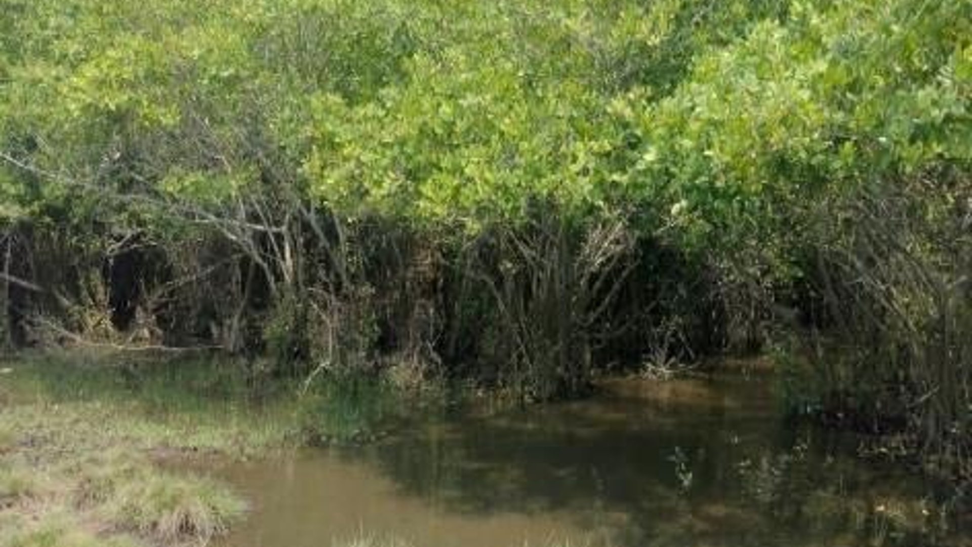 Terreno en Venta - Renta Iztapa, Escuintla  - Miniatura 4