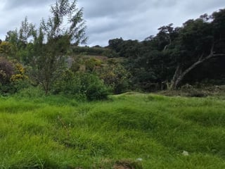 Terreno en Venta Granja Villas Alicia KM 32.9 Santiago - 5