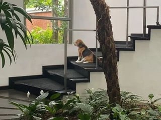 Residencia de Lujo en Venta en Encinos de Cayalá – Zona 16 - Image 7