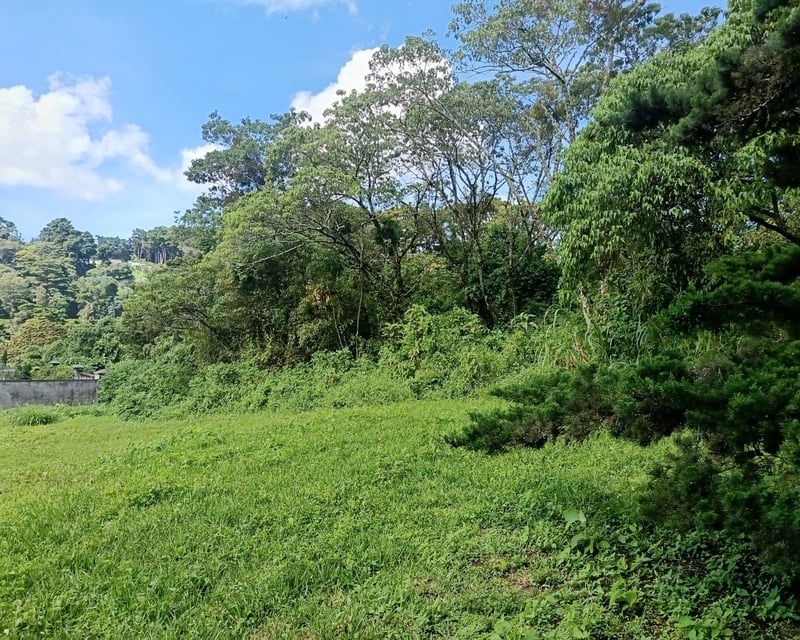 TERRENOS EN CASA Y CAMPO KM 23.5 CARRETERA A EL SALVADOR
