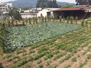 TERRENO en VENTA Ideal Inversionistas en Quetzaltenango - 3