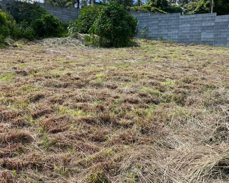 Alquilo amplio terreno avenida hincapie zona 13