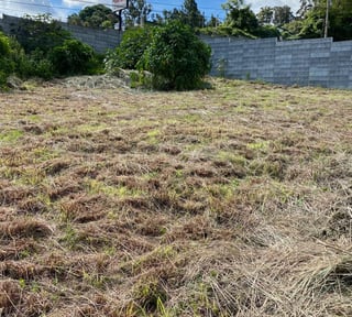 Alquilo amplio terreno avenida hincapie zona 13