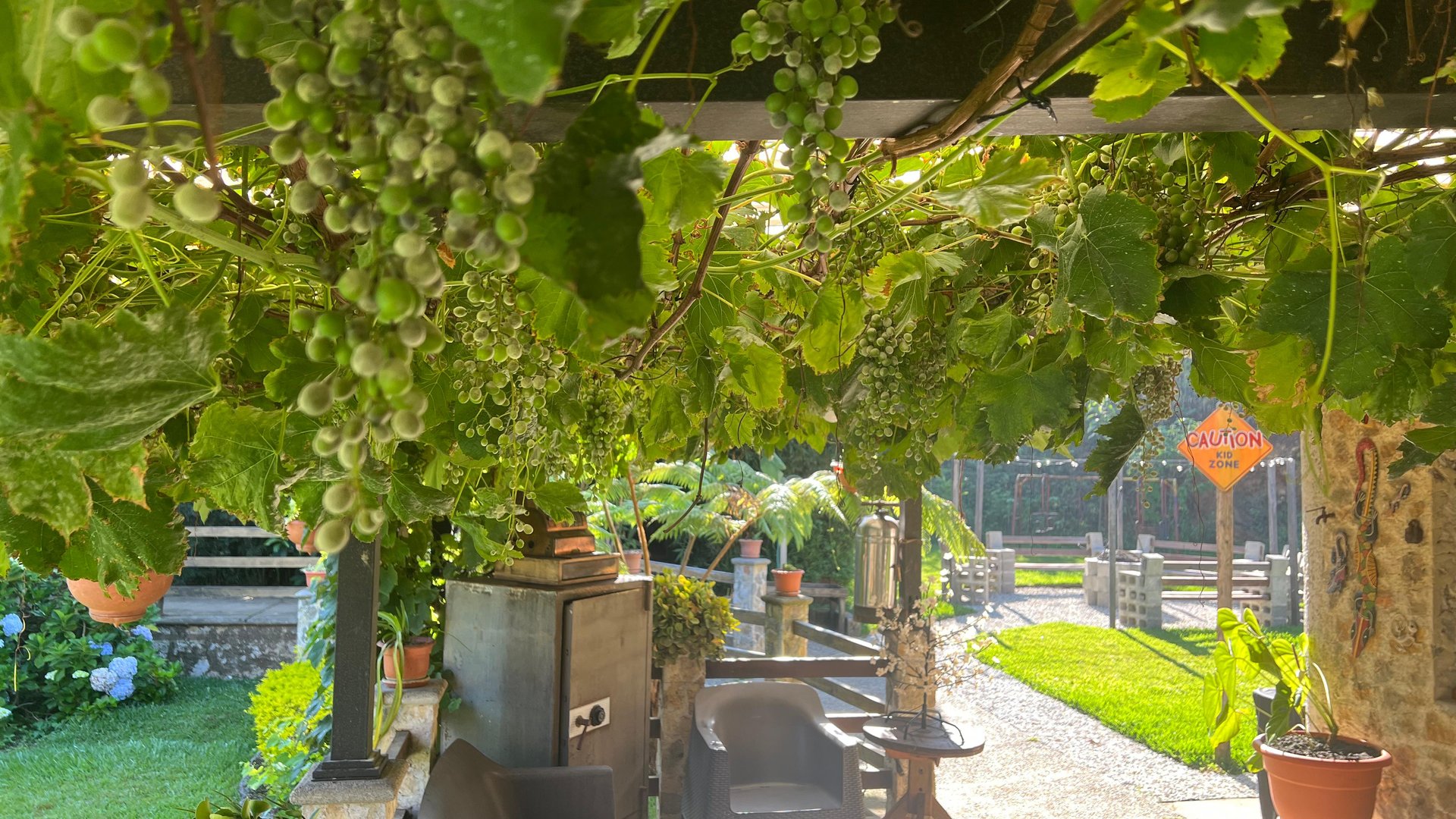 Finca comercial 26 manzanas en Venta en la Verapaces  - Miniatura 17