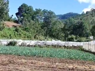 Terreno en venta en Tactic, Alta Verapaz - 3