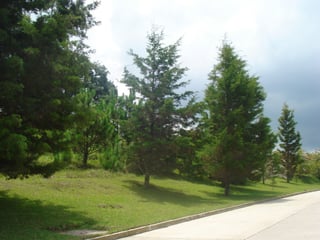 en venta en Casa   Campo Terreno plano - Image 1