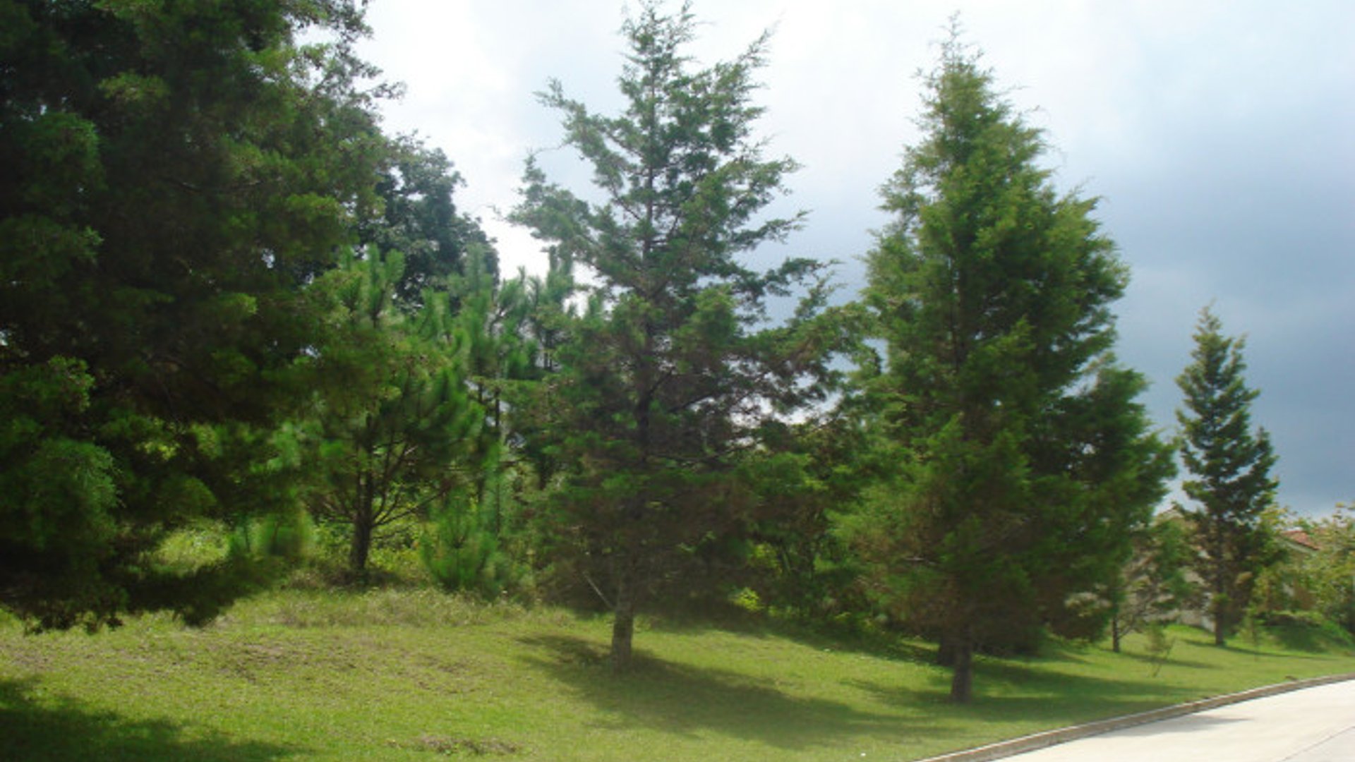 en venta en Casa   Campo Terreno plano